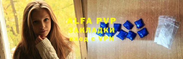 хмурый Аркадак