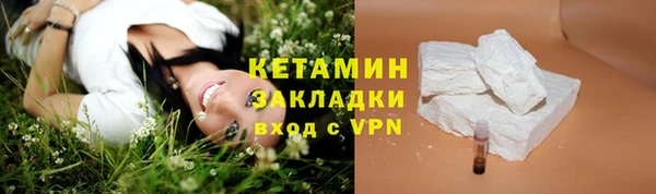 хмурый Аркадак