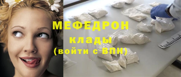 хмурый Аркадак