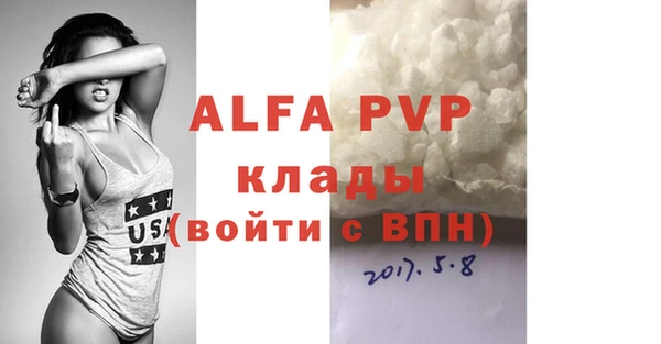 хмурый Аркадак