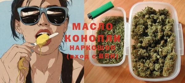 хмурый Аркадак