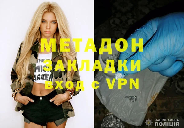хмурый Аркадак