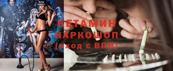 хмурый Аркадак