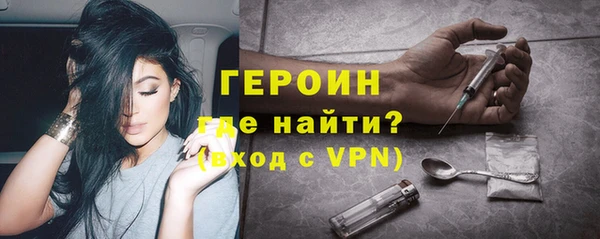 хмурый Аркадак