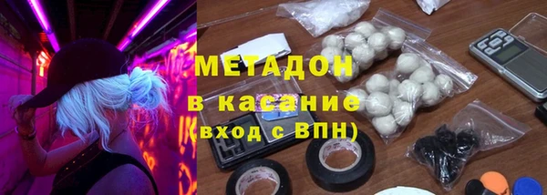хмурый Аркадак