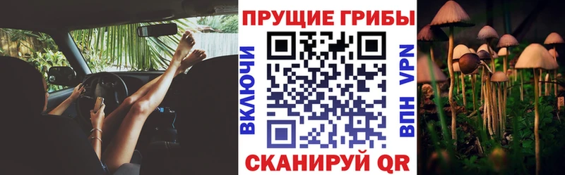 где найти   Полысаево  mega как зайти  Псилоцибиновые грибы прущие грибы 